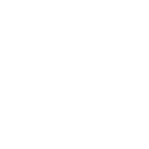 Abel Agency: Your Path to Influencer Success